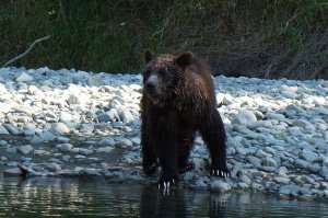 Canadian Hiking Trips