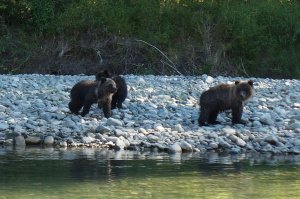 Hiking Tours In Canada