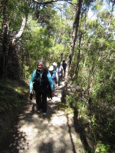BC Adventure Tours