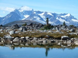 The Canadian Wilderness