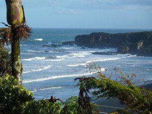 New Zealand Mountain Biking