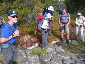 Alpine Hiking BC