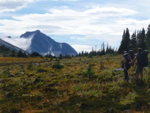 Wilderness Adventure Tours