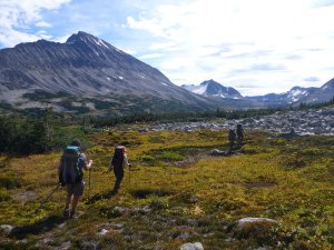 Guided Tours Canada