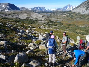 Backpacking Trips Canada