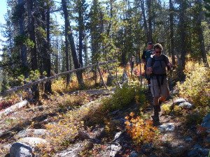 The Canadian Wilderness
