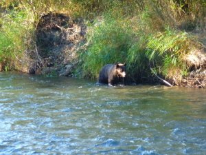 Canadian Rockies Hiking Tours