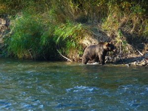 Hiking Trips Canada