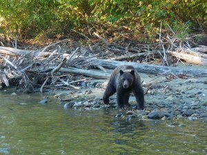 Adventure Holidays In Canada