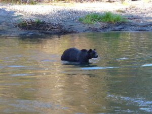 Adventure Travel Canada