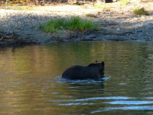 New Zealand Adventure Tours