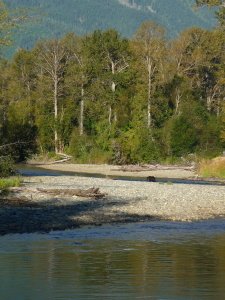 BC Adventure Tours