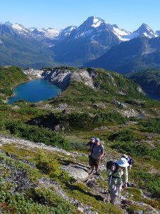 Bella Coola Alpine Beauty