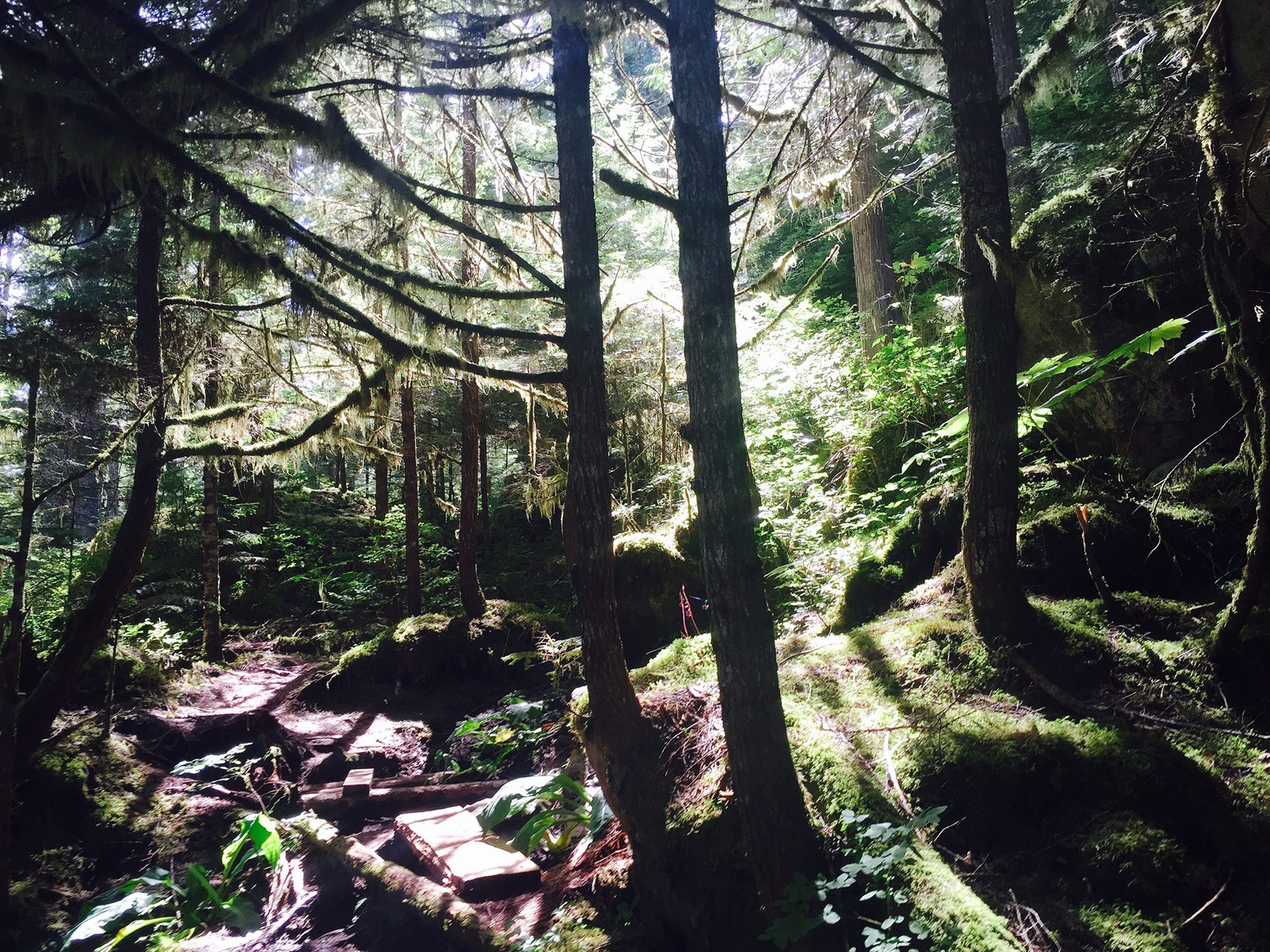 Great-Bear-Rainforest-Bella-Coola-BC-Yoho-Adventures-