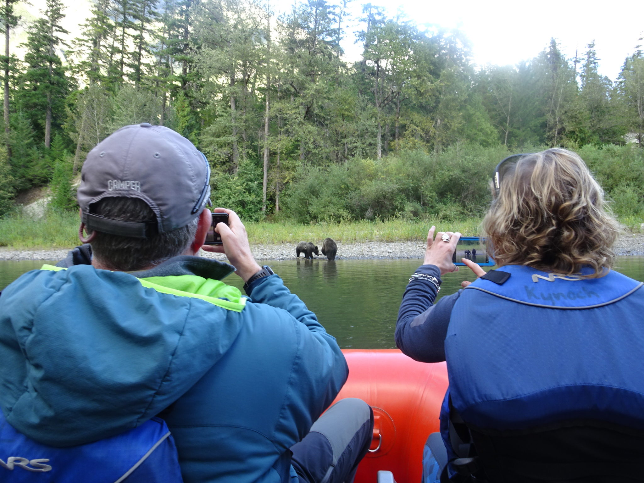Bear Tours Yoho Adventures